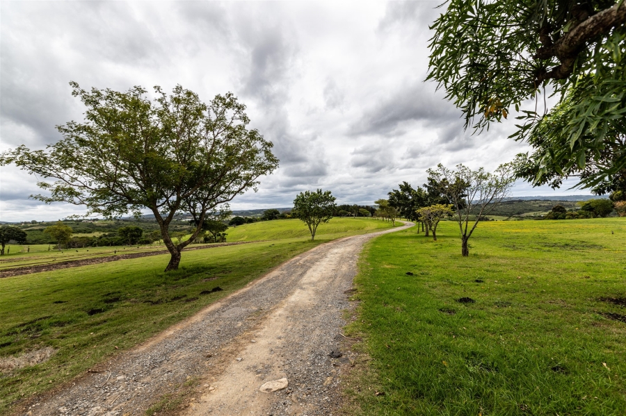 5 Bedroom Property for Sale in East London Rural Eastern Cape